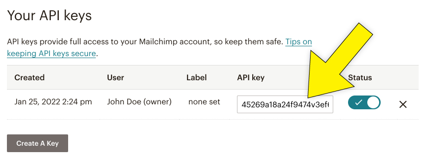 Newly created API key